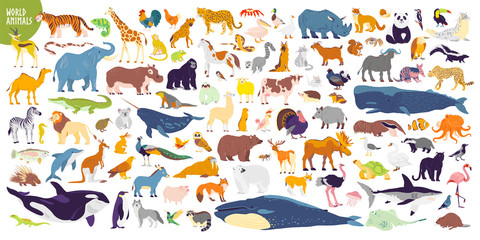 big vector set of different world wild animals, mammals, fish, reptiles and birds. rare animals. fun