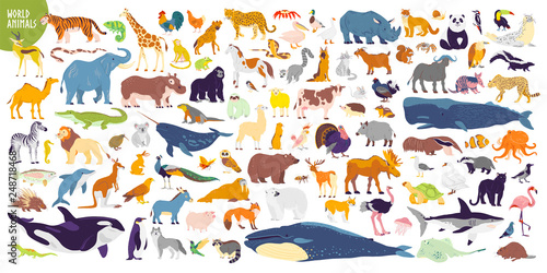 Big vector set of different world wild animals, mammals, fish, reptiles and birds Wallpaper Mural