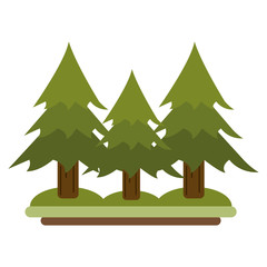 Sticker - pine trees in nature scenery