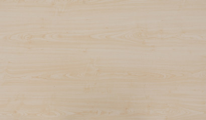 wood texture background