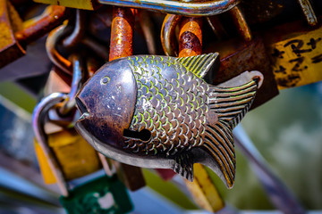 Wall Mural -  fishy padlock 