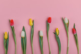 Fototapeta Tulipany - Valentine's Day background. Beautiful fresh tulips.