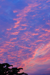 Wall Mural - Colorful with red, orange and blue dramatic sky on the clouds for abstract background. Romantic sunset background with beautiful blue, red and yellow clouds.