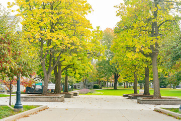 Naklejka na meble Fall color of the Queen's University