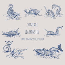 Mythological Vintage Sea Monster. Fragment Of Old Pirate Map. Hand Drawn Vector Sketch.