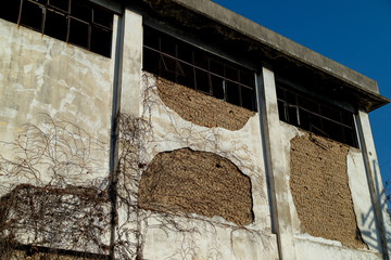 Old building wall