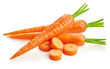 Carrots vector illustration