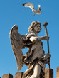 Ancient statue/sculpture of an Angel in Rome with seagull flying overhead