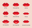 Various types of woman lips. Set of vector lips shapes. Set of illustrations with captions.