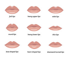 Various Types Of Woman Lips. Set Of Vector Lips Shapes. Set Of Illustrations With Captions.