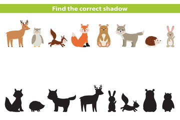 Cute cartoon forest animals. Find the correct shadow. Educational game for preschool children. Cartoon vector illustration.