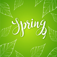 Poster - Calligraphy of Spring on glossy green background decorated with leaves.