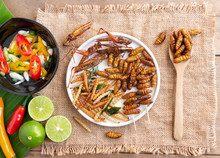 Mixed crispy worm and insects in a white ceramic plate with a wooden spoon on a wood table. The concept of protein food sources from insects. It is a good source of protein, vitamin, and fiber.