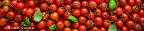 Fotomural Cherry Tomaten hintergrund panoramma