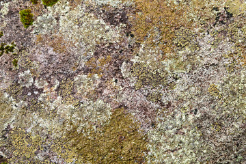 Wall Mural - Texture of a granite stone II