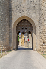 Wall Mural - Aigues-Mortes in France