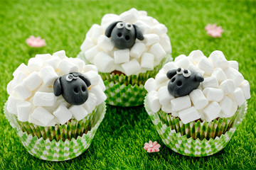 Wall Mural - Easter sheep cupcakes on green grass background, homemade cup cakes shaped funny sheeps with marshmallow and black fondant icing faces, creative treats for kids on Easter holiday