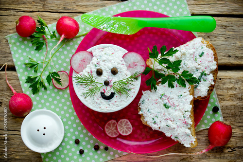 Cottage Cheese Green Herbs Fresh Radish Dip Appetizer For