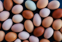 Flat Lay Of Earthy Tones Of Organic Farm Eggs Arranged As A Background.