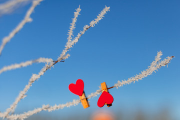 two red wooden decorative hearts handmade on a branch in the frost, winter Sunny day.For Valentine's day, wedding, love message, mood, design.copy space,background