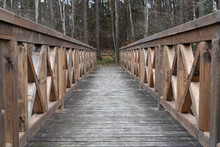 A Solid Wooden Bridge Over The Forested Wetlands. Forest Reserve Of Forest Bogs.