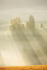 Poster - Misty landscape view in Alpe di Siusi