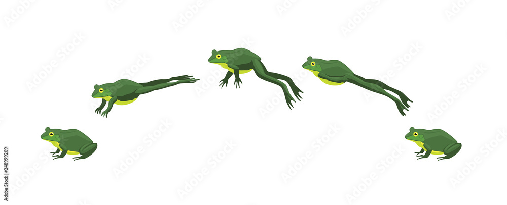 Frog Jumping Animation Sequence Cartoon Vector Illustration - obrazy, fototapety, plakaty 