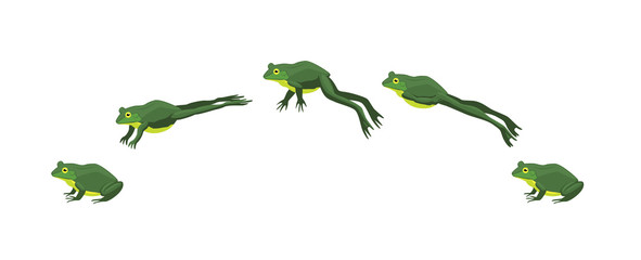 frog jumping animation sequence cartoon vector illustration