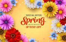 Spring Special Offer Vector Banner Background With Spring Season Sale Text And Colorful Chrysanthemum And Daisy Flowers Elements In Yellow Background. Vector Illustration.