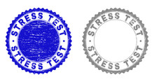 Grunge STRESS TEST Stamp Seals Isolated On A White Background. Rosette Seals With Grunge Texture In Blue And Gray Colors. Vector Rubber Stamp Imitation Of STRESS TEST Label Inside Round Rosette.