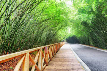 Poster - Scenic wooden walkway along road among bamboo woods