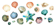 Collection Of Seashells In Style Doodle And Abstract Hand-painted With Watercolors Isolated On White Background. Design Elements.