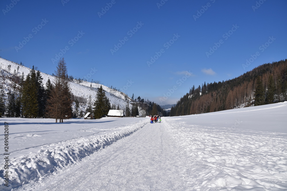 Dolina Koscieliska Tatry Zachodnie Tatry Tatrzański Park Narodowy zima TPN Góry  - obrazy, fototapety, plakaty 