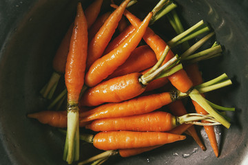 Young mini carrot in vintage metal bowl over white marble background. Flat lay, space. Cooking concept, food background.