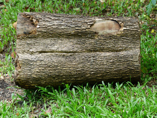 Sticker - Logs on grass