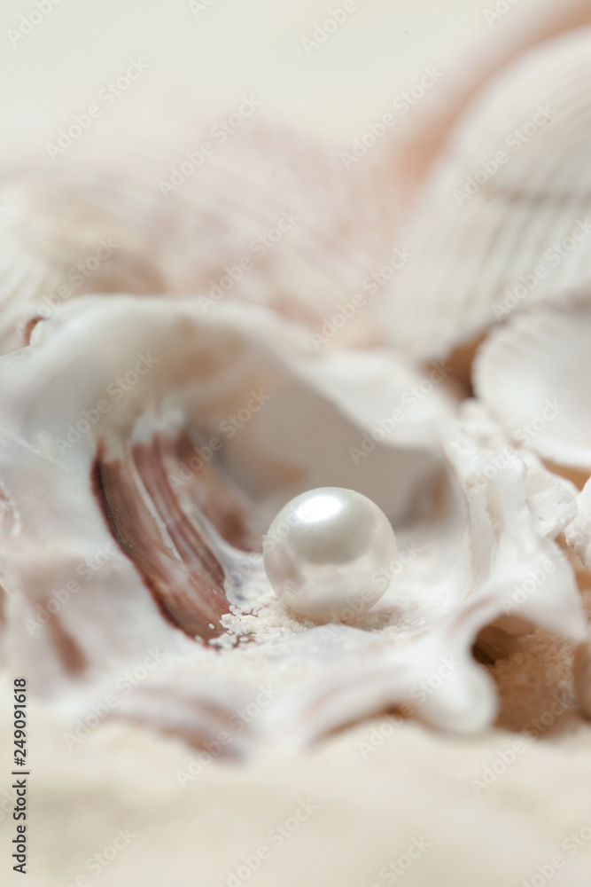 Organic pearl in a shell. Beautiful seashells arrangement. Treasure ...