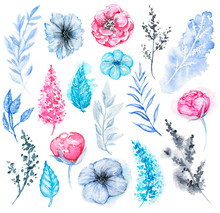 Big Set Of Pink, Blue And Black Variety Of Flowers And Twigs Isolated On White Background. Watercolor Hand Drawn Illustration