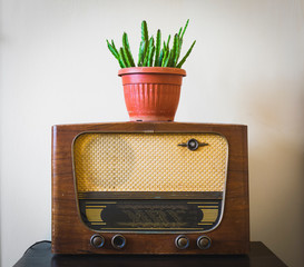 Old vintage radio on hardwood floor with cactus in flower pot on it on warm background