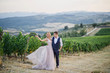 young beautiful wedding couple walking at sunset in Tuscany in Italy near the vineyards bride in beautiful dress groom stylishly dressed