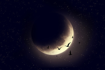 Wall Mural - sky