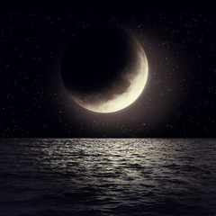 Wall Mural - moon