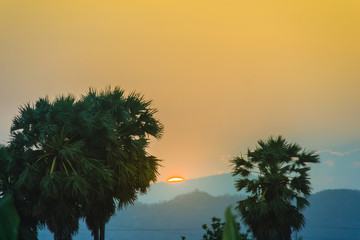 Wall Mural - Silhouette of sugar palm trees after sunset, with colorful sky and mountain background. Silhouette palm tree on sunrise with colorful twilight sky on the mountain.