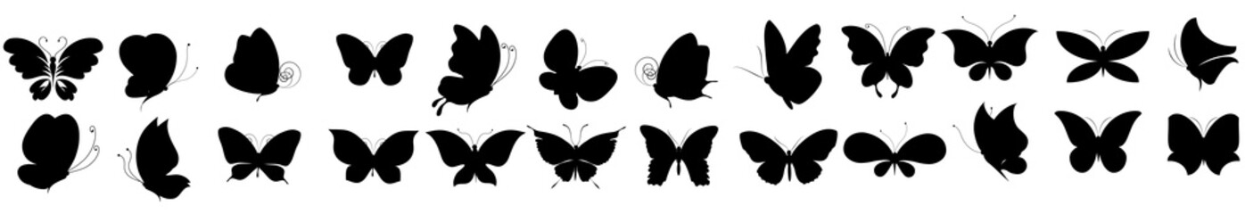 black butterfly, isolated on a white