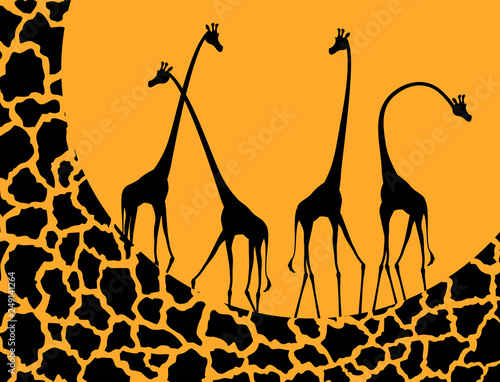 Plakaty żyrafa  projekt-ilustracji-zyrafy