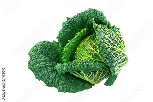 Isolated fresh savoy cabbage head Tableau sur Toile