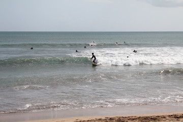 beach surfer