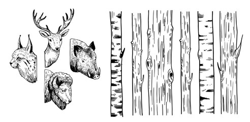 Wall Mural - sketches of trees and forest animals: lynx, deer, boar, bison. vector illustration.