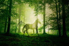 Artistic Mystical Horse Animal In The Green Colored Foggy Fairy Tale Forest Landscape. 