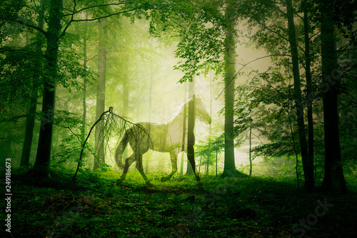 Artistic mystical horse animal in the green colored foggy fairy tale forest landscape Tableau sur Toile