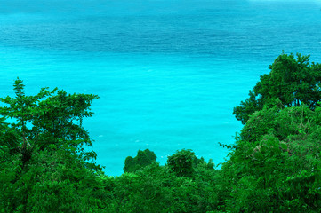 Poster - azure Caribbean sea and green trees